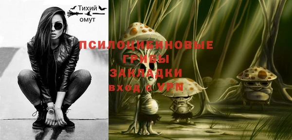 дурь Алексеевка